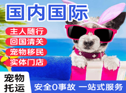 晋江机场托运国际宠物托运 【国